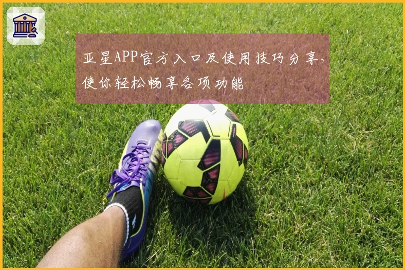 亚星APP官方入口及使用技巧分享,使你轻松畅享各项功能