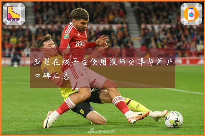 亚星在线平台使用技巧分享与用户口碑汇总