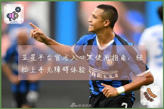 亚星平台官方入口及使用指南,轻松上手无障碍体验
